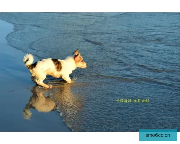 沉醉光影，精选片单带你穿越时空，触碰人间百味